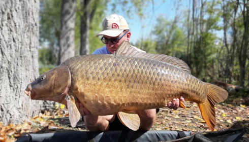 A carp from Grandes Cimes, Jan 2022