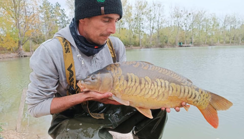 A carp from Grandes Cimes, New Stock, Jan 2022