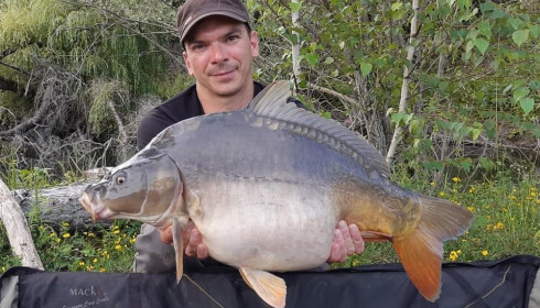 A carp from Grandes Cimes, Jan 2022