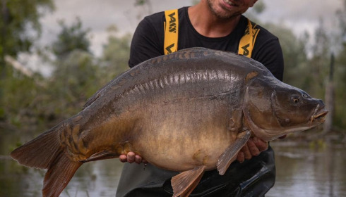 A carp from Grandes Cimes, Jul 2024