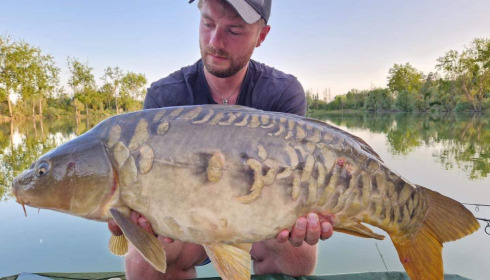 A carp from Grandes Cimes, Jan 2023