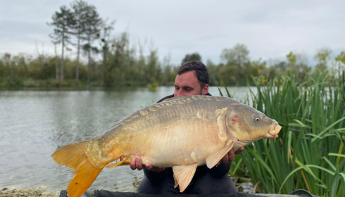 A carp from Grandes Cimes, Oct 2024