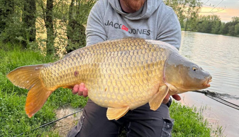 A carp from Grandes Cimes, Jun 2024
