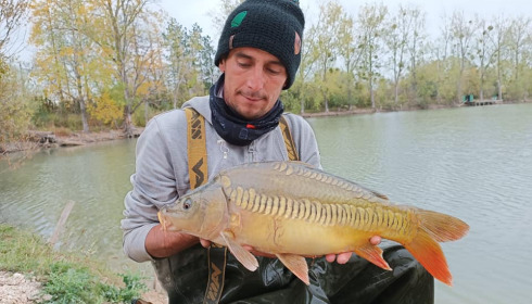 A carp from Grandes Cimes, New Stock, Jan 2022