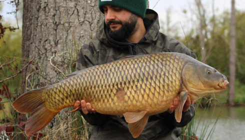A carp from Grandes Cimes, Oct 2024