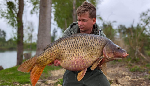A carp from Grandes Cimes, Jan 2023