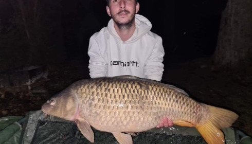 A carp from Grandes Cimes, Jan 2022