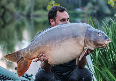 A carp from Grandes Cimes, Oct 2024