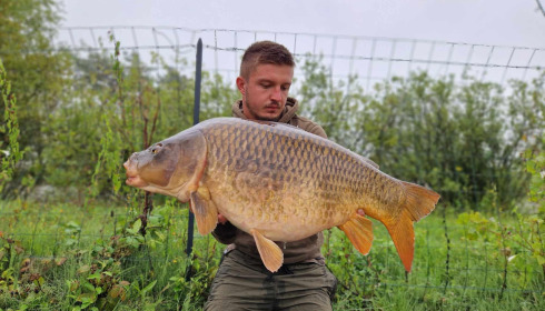 A carp from Grandes Cimes, Sep 2024