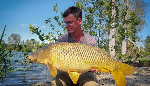 A carp from Grandes Cimes, Sep 2024