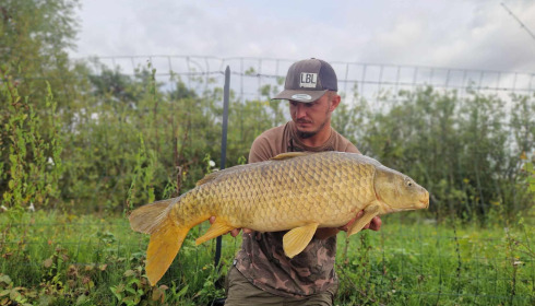 A carp from Grandes Cimes, Sep 2024