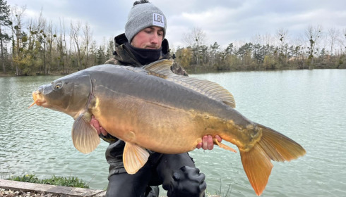 A carp from Grandes Cimes, New Stock, Nov 2023