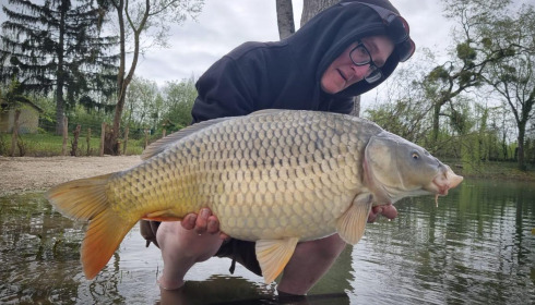 A carp from Grandes Cimes, Jan 2024