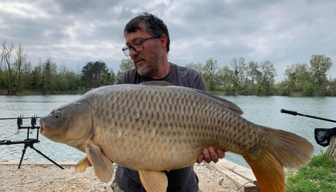 A carp from Grandes Cimes, Jan 2023
