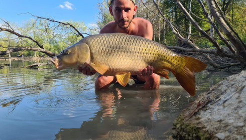 A carp from Grandes Cimes, Jan 2022