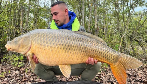 A carp from Grandes Cimes, Jan 2022