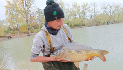 A carp from Grandes Cimes, New Stock, Jan 2022
