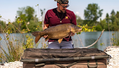 A carp from Grandes Cimes, Jun 2025
