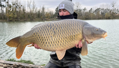 A carp from Grandes Cimes, New Stock, Nov 2023