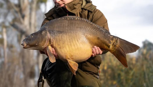 A carp from Grandes Cimes, Dec 2024