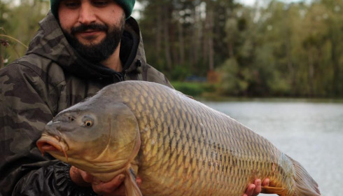 A carp from Grandes Cimes, Oct 2024