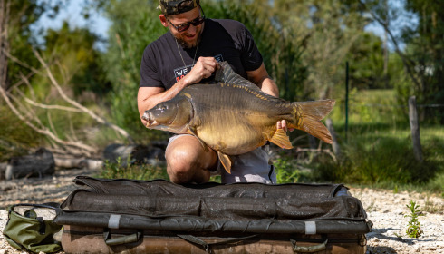 A carp from Grandes Cimes, Jun 2025