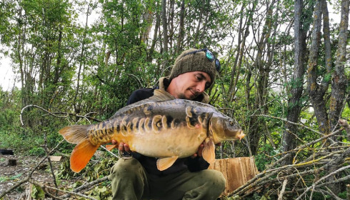 A carp from Grandes Cimes, Jan 2022