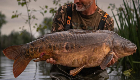 A carp from Grandes Cimes, Jul 2024