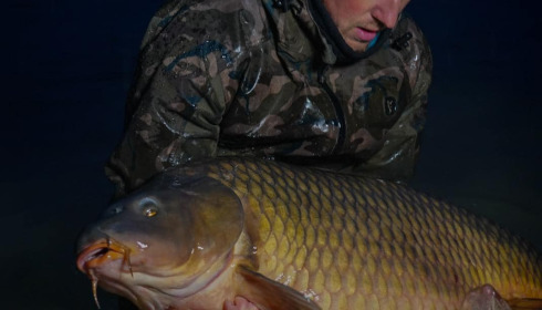 A carp from Grandes Cimes, Jan 2024