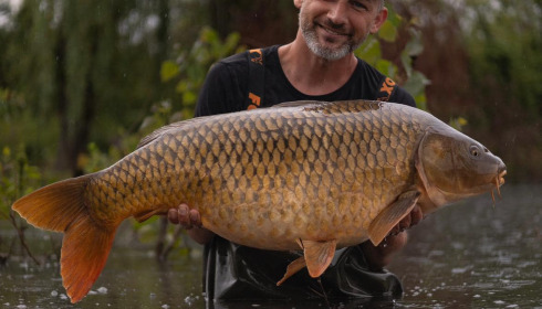 A carp from Grandes Cimes, Jul 2024