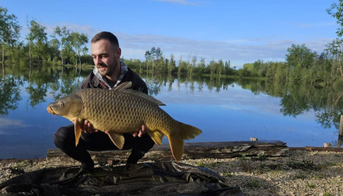 A carp from Grandes Cimes, Jun 2024
