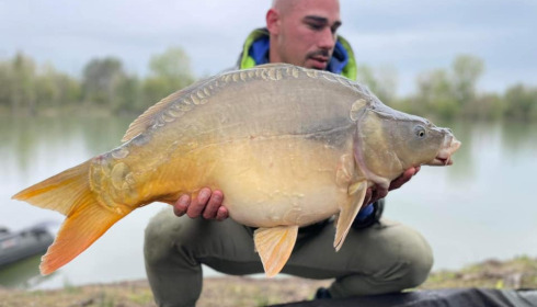 A carp from Grandes Cimes, Jan 2022