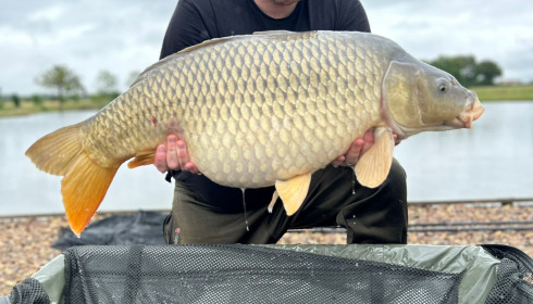A 28 lb 5 oz carp from Heart Lake, Ian Rosewell, Jun 2024