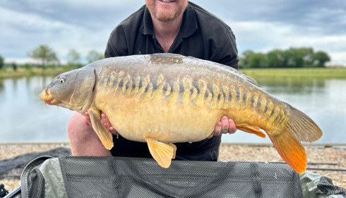 A 31 lb 14 oz fish from Heart Lake, Linear Carp, Jun 2024