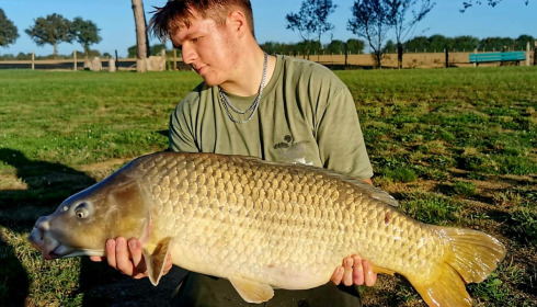 A carp from Heart Lake, Oct 2023