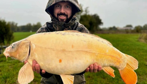 A carp from Heart Lake, Nov 2023