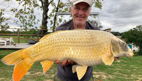 A carp from Heart Lake, Oct 2023