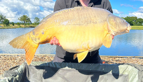 A 38 lb 4 oz carp from Heart Lake, Ian Rosewell, Jun 2024