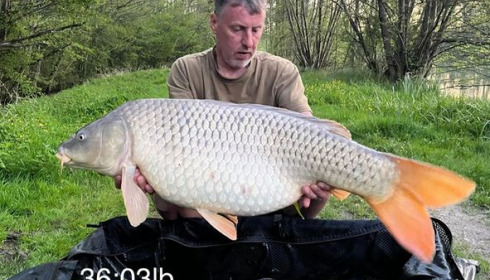 A 36 lb 3 oz carp from Jonchery 7, Apr 2024