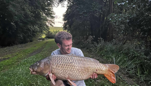 A carp from Jonchery 7, Aug 2023