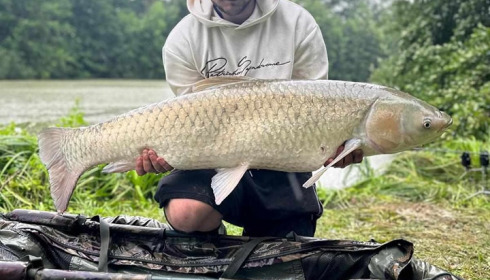 A grass carp from Jonchery 7, Jul 2023