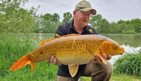 A carp from Jonchery 7, May 2023