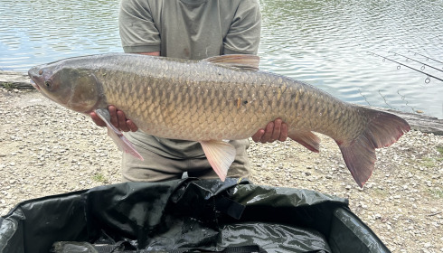 A 42 lb grass carp from Jonchery 7, Paul Overbury, Jul 2025