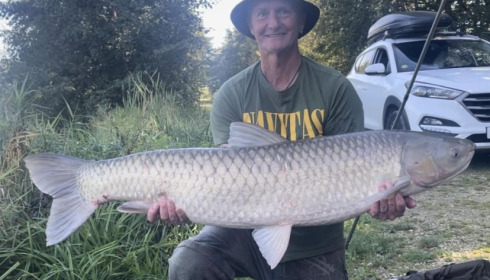 A fish from Jonchery 7, Sep 2023
