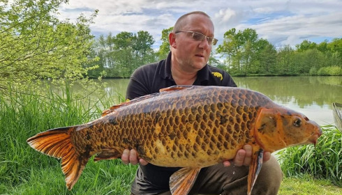 A carp from Jonchery 7, May 2023