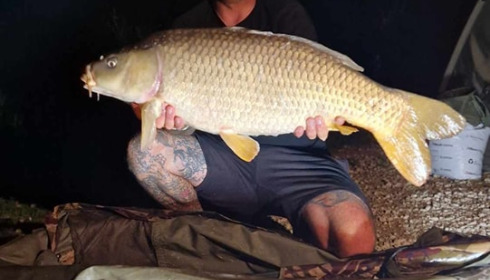 A carp from Jonchery 7, Jul 2023