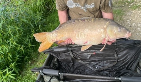 A fish from Jonchery 7, Mirror, Aug 2023