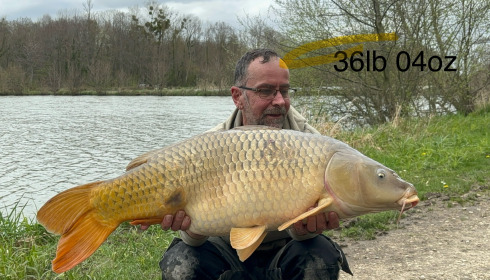 A 36 lb 4 oz fish from Jonchery 7, Common, Mar 2024