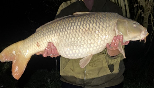A 26 lb 8 oz carp from Jonchery 7, Tracy Evans, Nov 2025