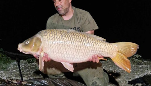 A carp from Jonchery 7, Jul 2023